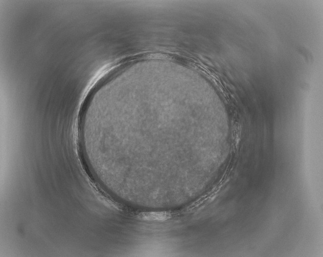 X0000115320102200912141207