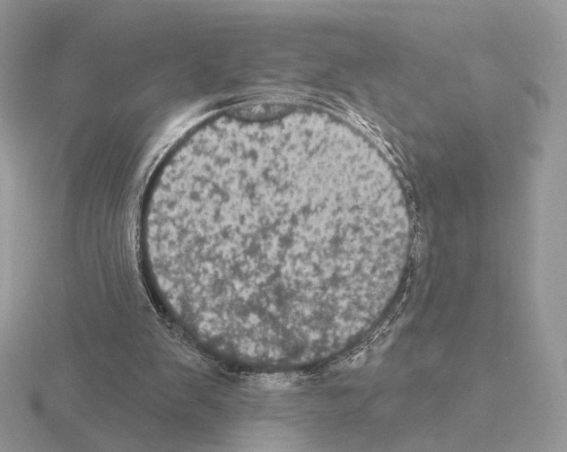 X0000115320103200912141207