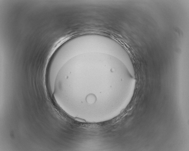 X0000115320104200912141207