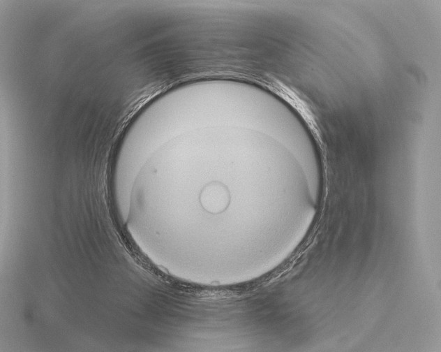 X0000115320105200912141207