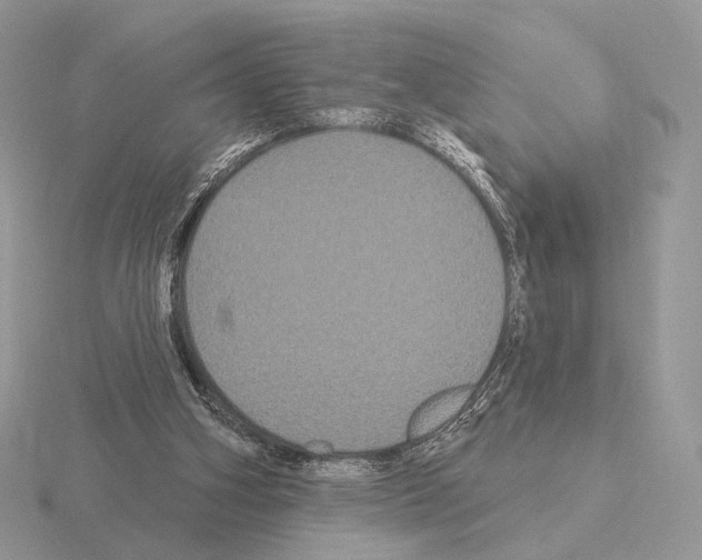 X0000115320106200912141207