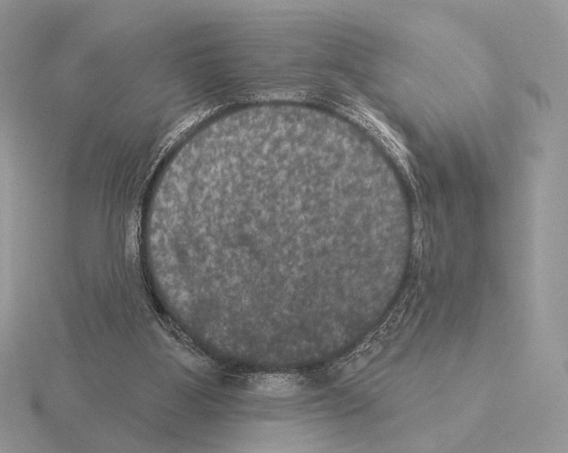 X0000115320107200912141207