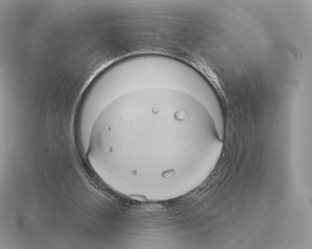 X0000115320108200912141207