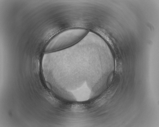 X0000115320109200912141207