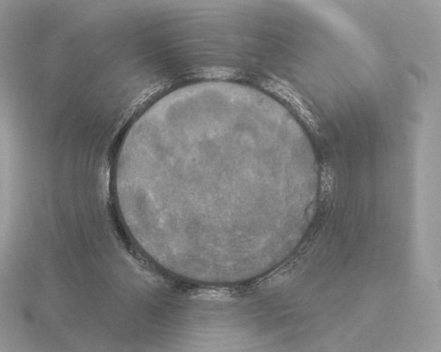 X0000115320110200912141206