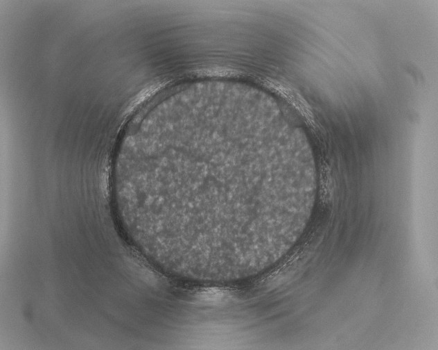 X0000115320111200912141206