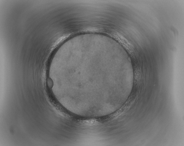 X0000115320112200912141206