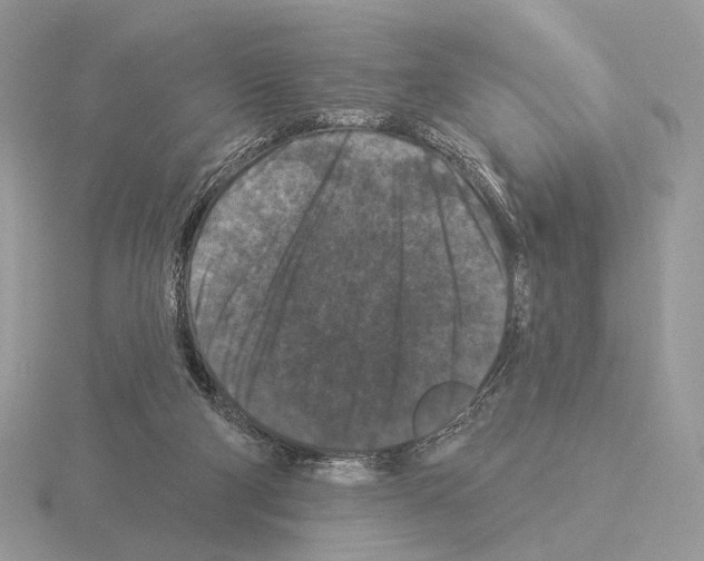 X0000115320114200912141206