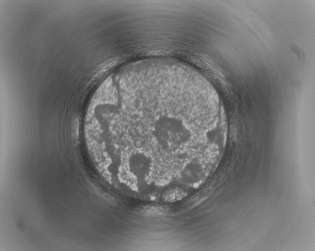 X0000115320115200912141206