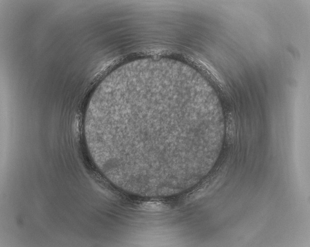 X0000115320119200912141206