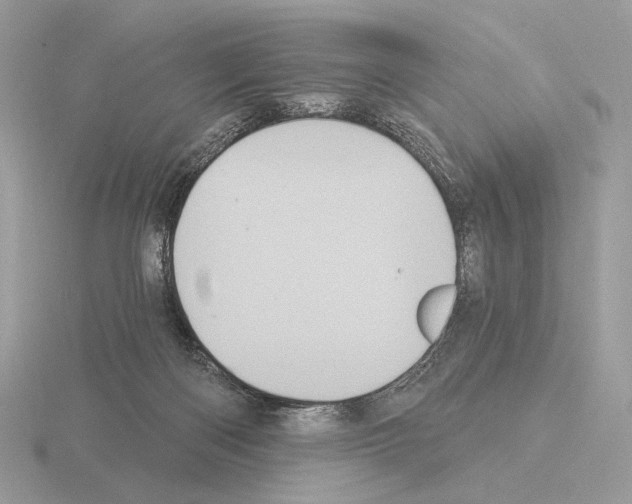 X0000115320122200912141206