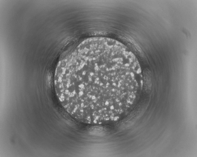 X0000115320123200912141206