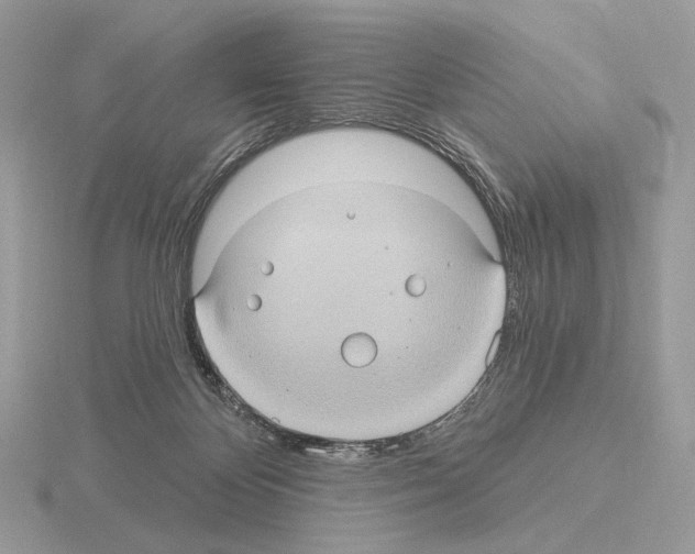 X0000115320124200912141206