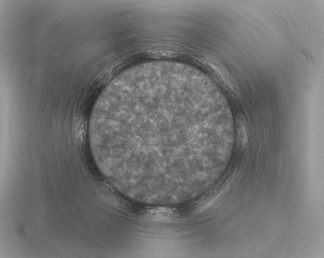 X0000115320125200912141206