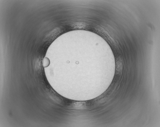 X0000115320126200912141206