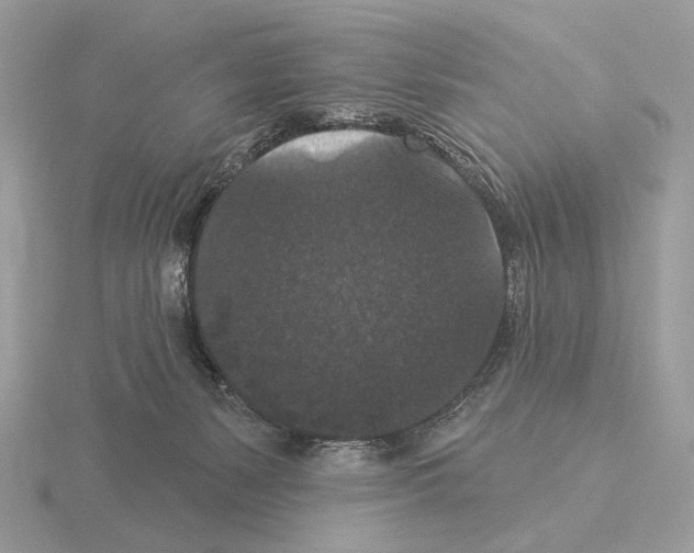 X0000115320127200912141206