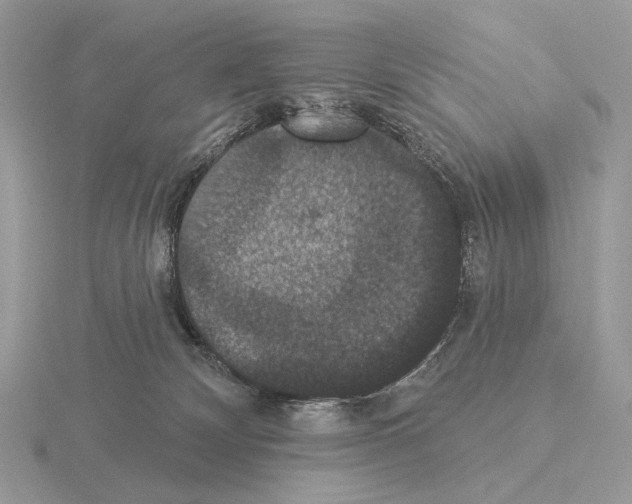 X0000115320132200912141206