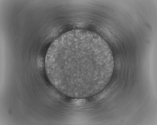 X0000115320135200912141206