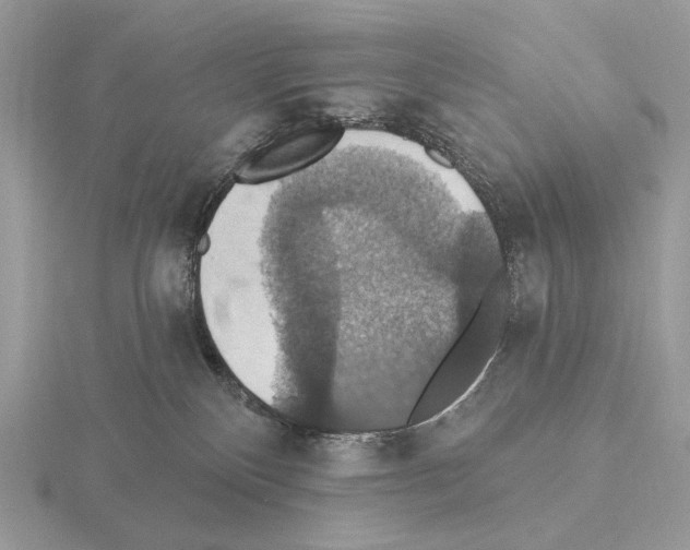 X0000115320136200912141206