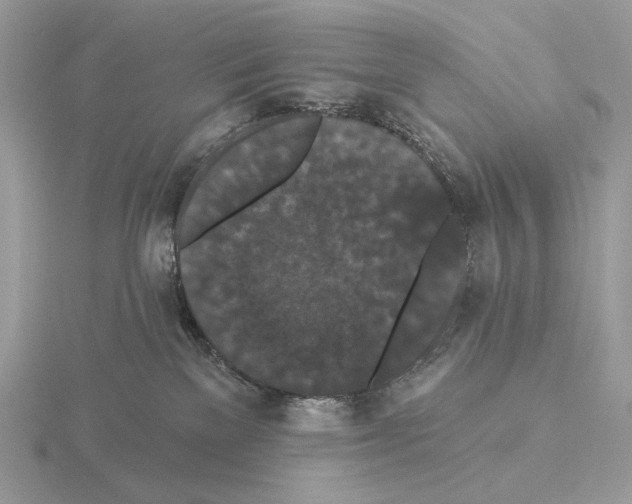 X0000115320137200912141206