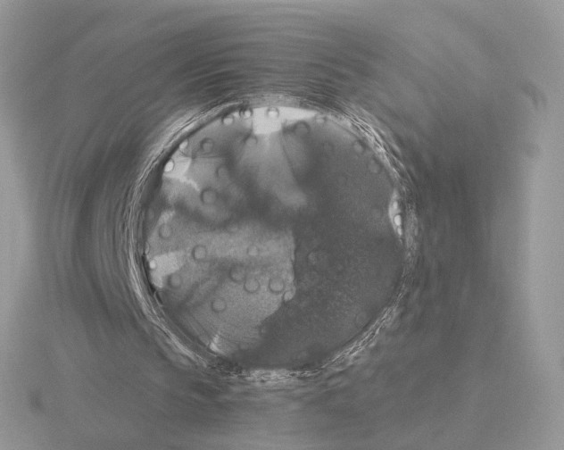 X0000115320145200912141205