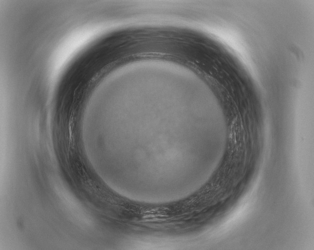 X0000115320146200912141205