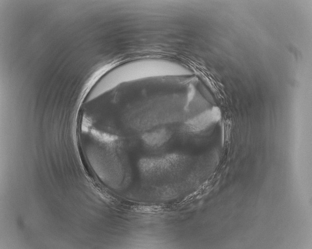 X0000115320147200912141205