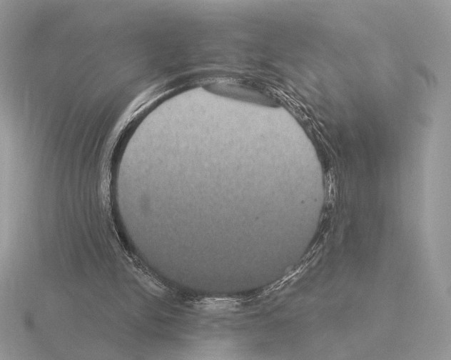 X0000115320150200912141205