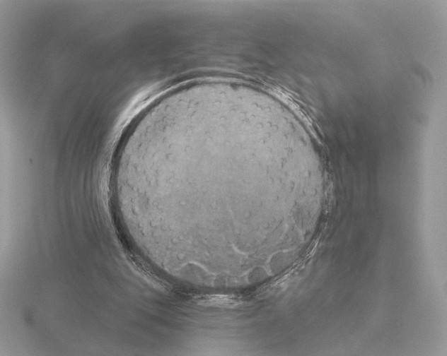 X0000115320151200912141205