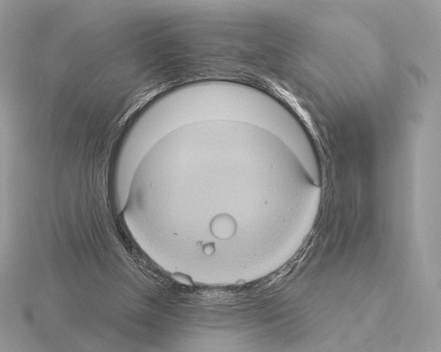 X0000115320154200912141205