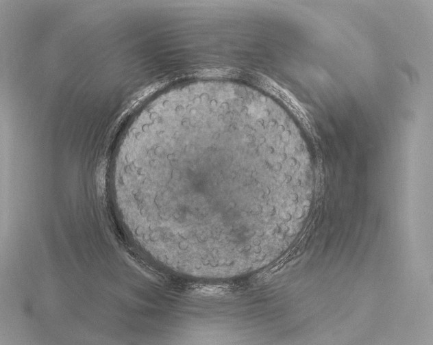 X0000115320155200912141205