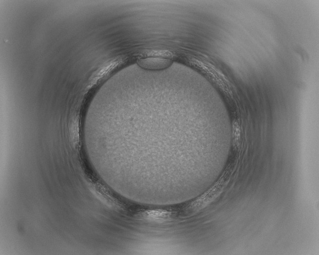 X0000115320158200912141205