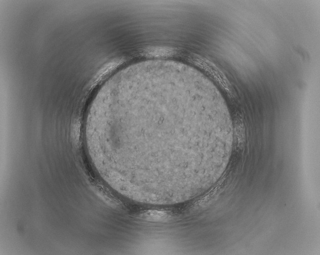 X0000115320159200912141205