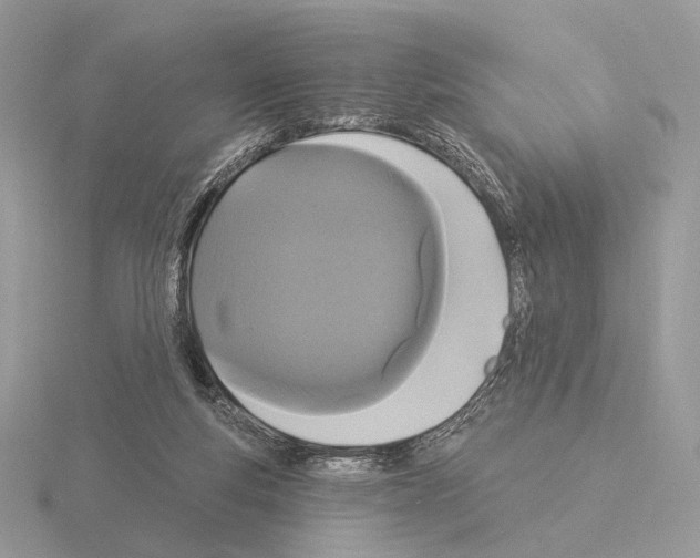 X0000115320163200912141205