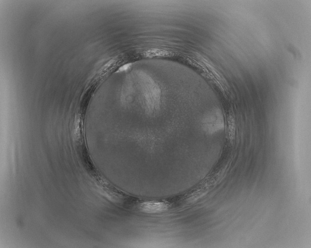 X0000115320169200912141206