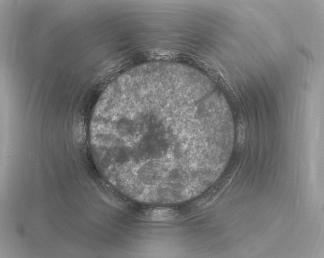 X0000115320173200912141206