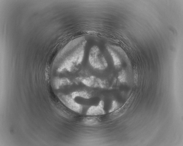 X0000115320175200912141206