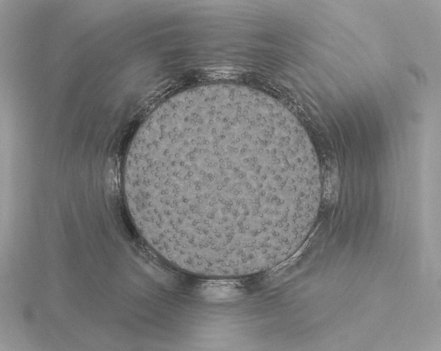 X0000115320179200912141206