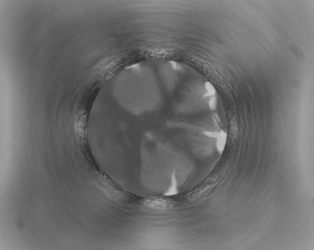 X0000115320181200912141206