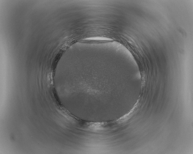 X0000115320182200912141206