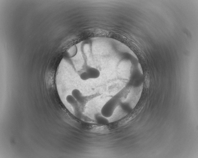 X0000115320185200912141206