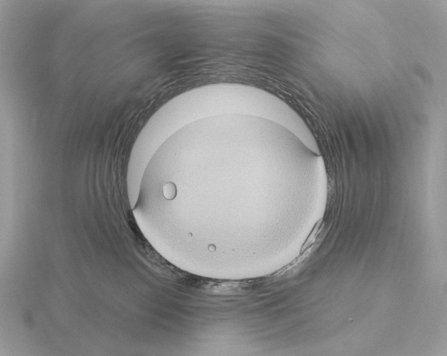 X0000115320186200912141206