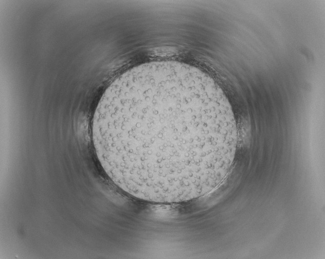 X0000115320187200912141206