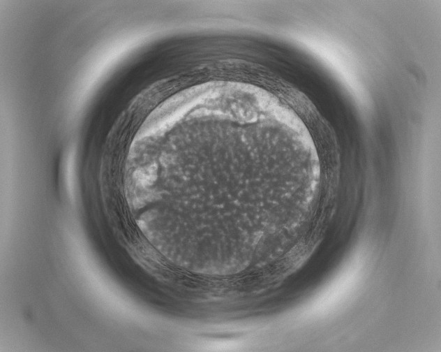 X0000115320189200912141206