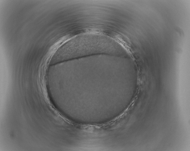 X0000115320193200912141205