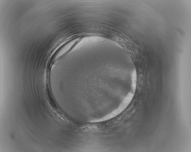 X0000115320194200912141205