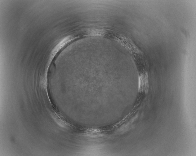 X0000115320195200912141205