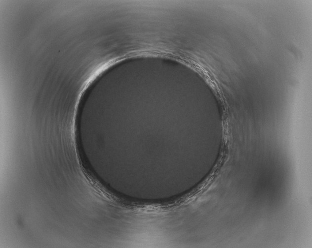 X0000115320196200912141205