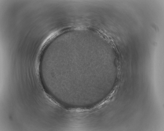 X0000115320197200912141205