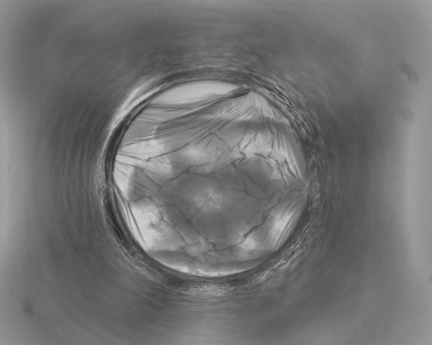 X0000115320198200912141205